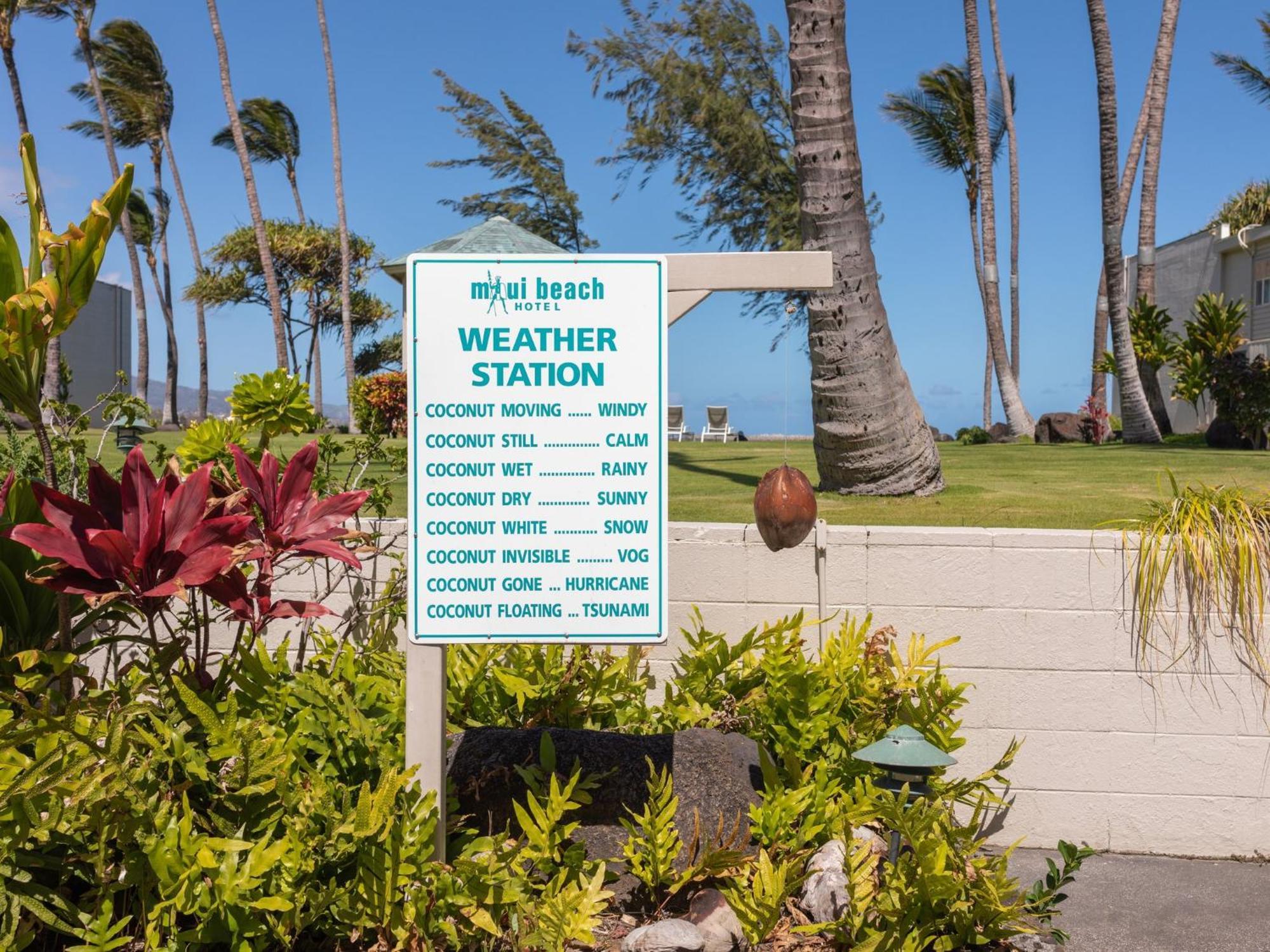 Maui Beach Hotel Kahului Exteriér fotografie